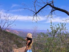 -阳台山自然风景区
