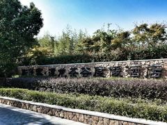 -帐篷客·溪龙茶谷度假酒店