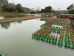 -苏州太湖国家湿地公园