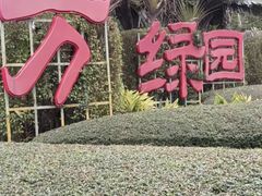 -万绿园