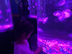 -西安曲江海洋极地公园