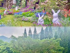 -深圳仙湖植物园