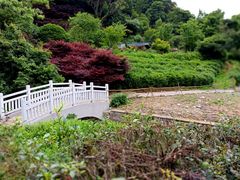 -北仑森林植物园