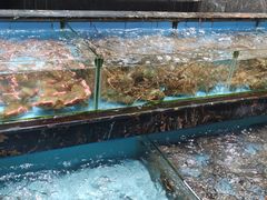 水产区-顺风山庄(水濂山店)