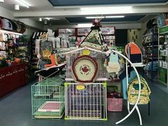 -瑞派宠物医院·24小时骨科·心脏·核磁(哈尔滨南岗店)