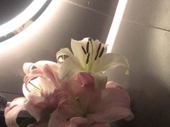 -梵猫·新养生(加州广场店)