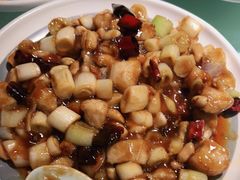 宫爆鸡丁-雲蜀龙阁·金牌水煮鱼(方庄店)