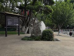 -莲湖公园