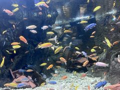 -太平洋海底世界