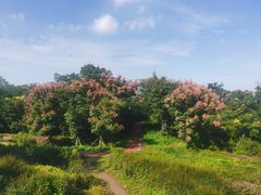 -南京市江宁方山