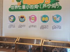 -国信南山温泉