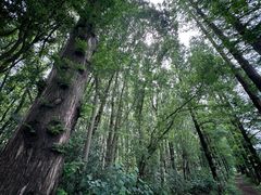 -同里国家湿地公园