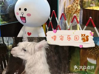 撩宠乐园，心动的感觉～