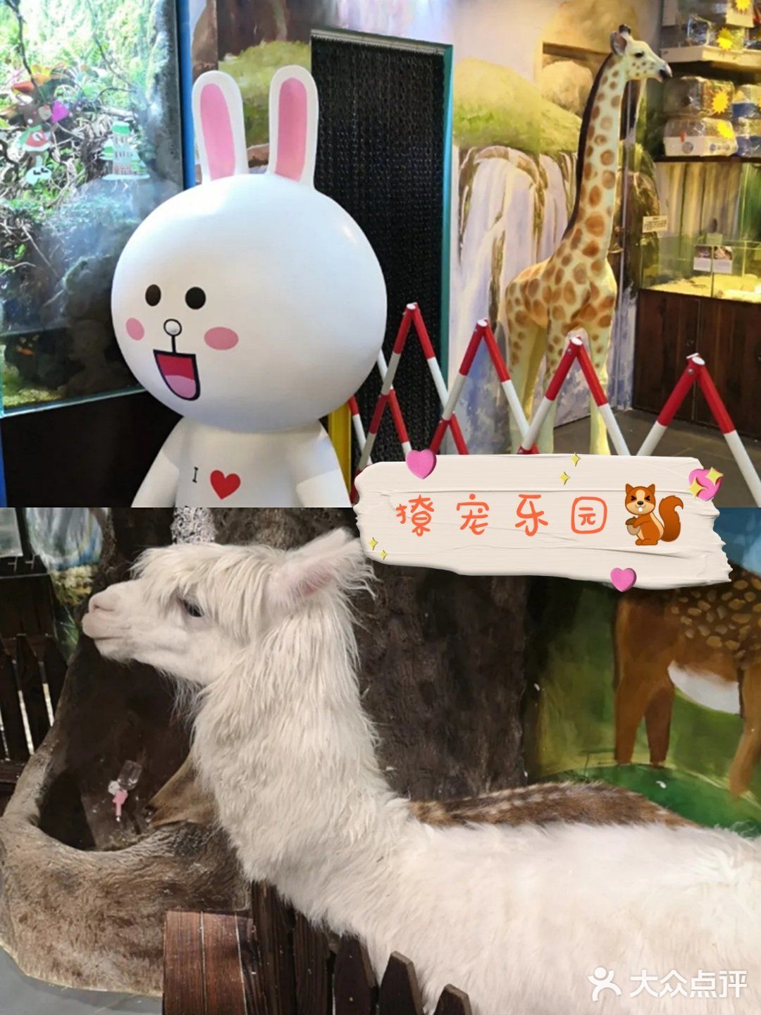 🐿撩宠乐园，心动的感觉～