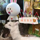 🐿撩宠乐园，心动的感觉～