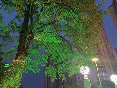 -水围村
