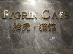 -袖虎·猫馆(体育西路店)