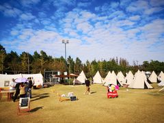 -上海长兴岛郊野公园