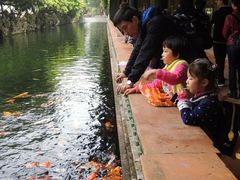 游乐设施-宝墨园景区