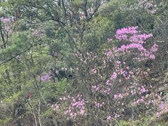 -明堂山风景区