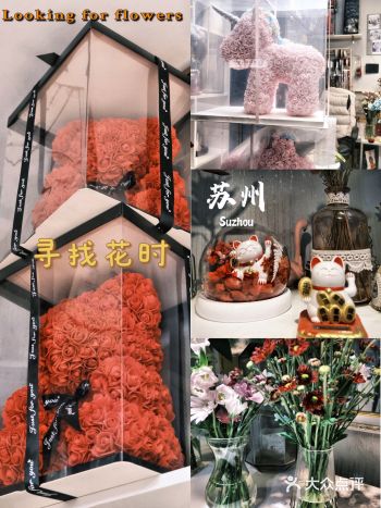 苏州探店｜寻找花时鲜花