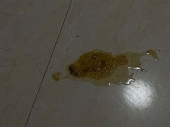 -佛山京华广场MALL