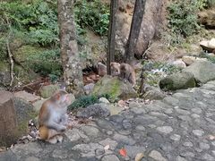 -姑婆山旅游区