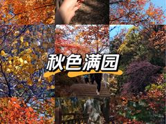 -王顺山国家森林公园