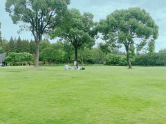 -上海滨江森林公园