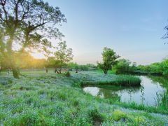 -西溪国家湿地公园