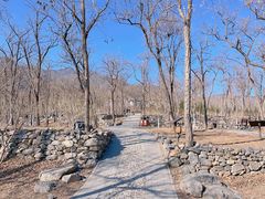 -阳台山自然风景区