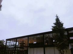 -桉树林A coffee 森林餐厅(三圣乡店)