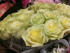 -双季花艺园艺市场(浦东店)