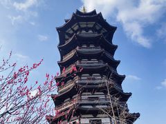 -洋湖国家湿地公园