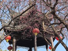 -丝绸小镇荻港古村