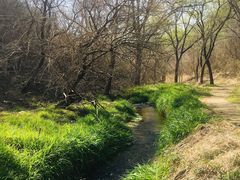 -白水寺森林公园