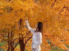 -长春市南湖公园