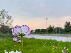 -敕勒川草原文化旅游区