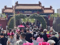 -曹州牡丹园