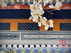 -龙华寺