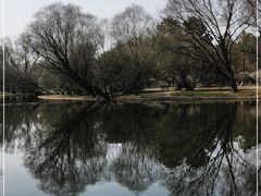 -上海共青森林公园