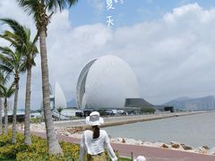 -野狸岛