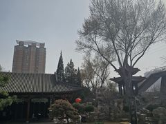 -碑林公园