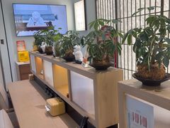 -长风拨筋养身(金虹桥店)