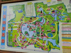 -上海野生动物园