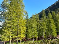 -广州市石门国家森林公园