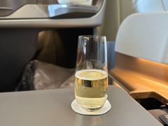 -新加坡航空公司(ION)