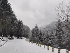 -硗碛藏寨·神木垒景区
