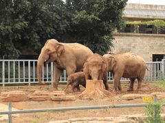 -石家庄市动物园