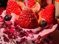 -维尔纳斯·生日蛋糕·动物奶油冰淇淋蛋糕(六里桥店)